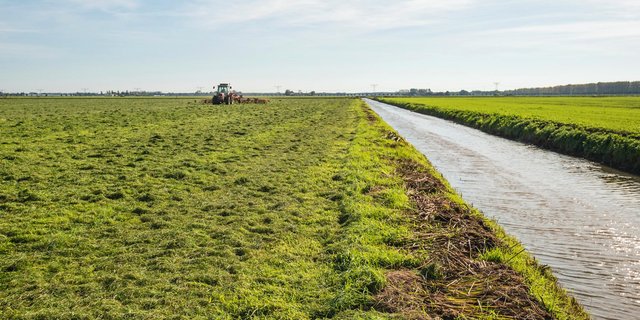 Bei der Anwendung von Pflanzenschutzmitteln können Oberflächengewässer durch Abdrift dieser gefährdet werden. (Bild iStock)