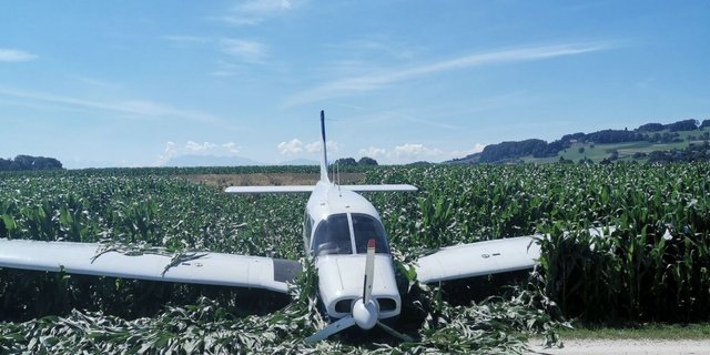 Bei der Notlandung brach das Bugrad ab und im Maisfeld entstand ebenfalls Sachschaden. (Bild Kapo AG)