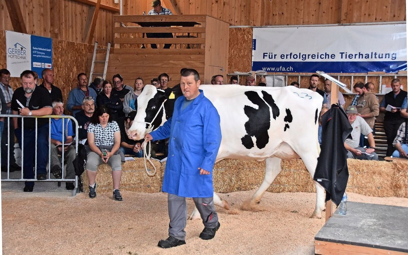 Die typstarke Sidekick Antonia von Andri Jost aus Sumiswald war einem Käufer ebenfalls 4500 Franken wert.  