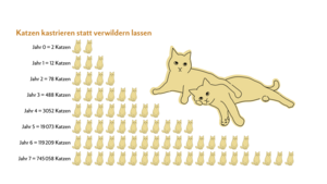 Katzenpopulation