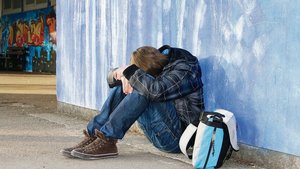 Es kommt an Schulen Es kommt an Schulen unter Kindern oder Jugendlichen immer wieder zu Hänseleien. Weitet sich das Problem auf Lehrer aus, welche die Landwirtschaft als Klimasünder darstellen, muss eingeschritten werden.