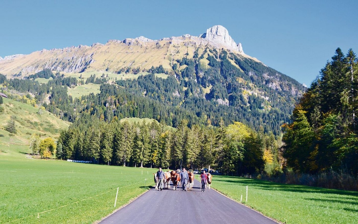 Der Wald wächst nicht nur im Berggebiet weiter. In einigen Kantonen wird der Wald nun neu vermessen.