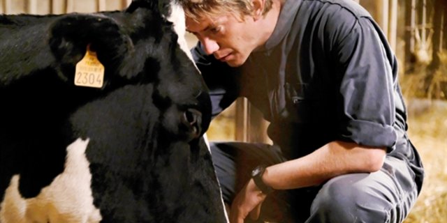 Pierre (Swann Arlaud) befürchtet, dass seine Kühe an einer gefährlichen Seuche erkrankt sind. (Bild pd)