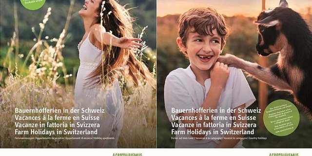 Für 2018 gibt es einen neuen Katalog. (Bild zVg)