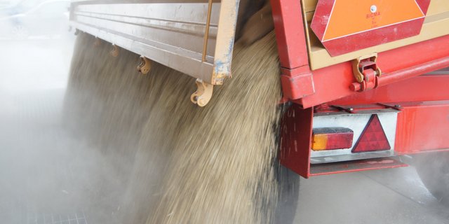 Der Weizen wurde gesund abgeliefert, bei recht unterschiedlichem Feuchtigkeitsgehalt. (Bild BauZ)