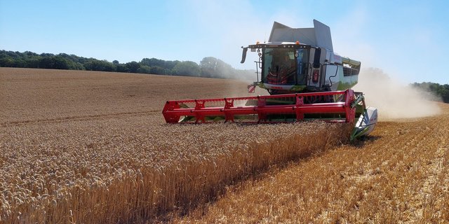 Besonders Bio-Mahlweizen ist gesucht, da Migros und Coop ihr Brot-Sortiment auf Bio Suisse bzw. Knospe-Umstellungsweizen umstellen wollen. Bio Suisse sieht grosses Potenzial für Flächen in der Westschweiz, da dort mehr Betriebe mit grossen Ackerflächen sind. 