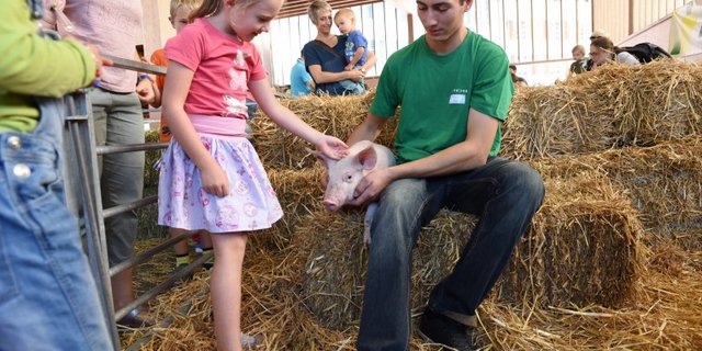 Jungtiere faszinieren. (Bild BVA)