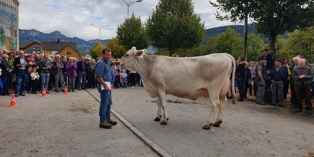 Tagessiegerin Libunja mit ihrem Besitzer Dominik Sutter. (Bilder Stefanie Giger)