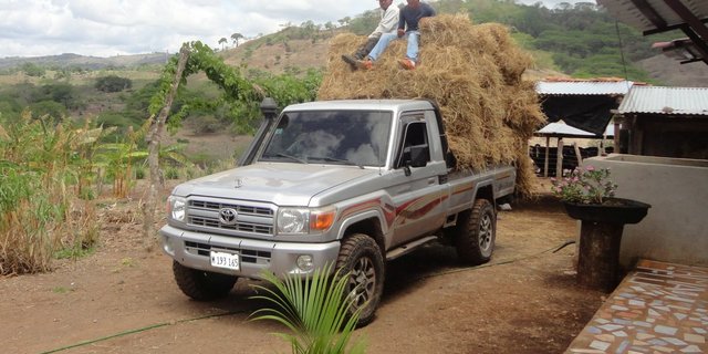 Beim Reisstrohtransport vom Dorf zur Finca gab es für den Lastwagen kein Durchkommen. Er war zu hoch beladen. (Bild Mirka Lötscher)