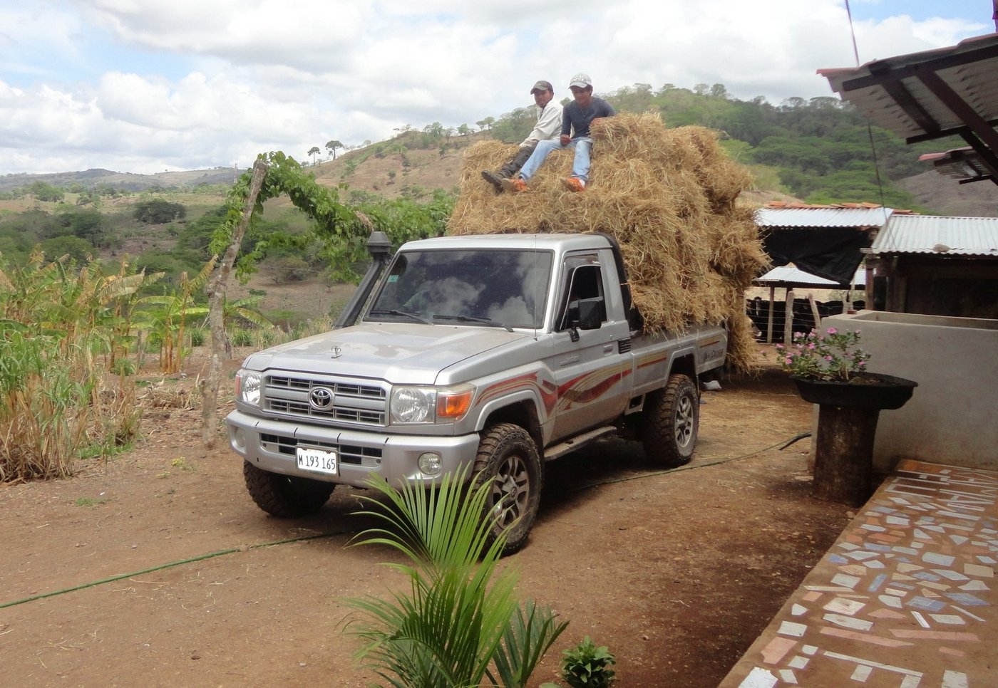 Beim Reisstrohtransport vom Dorf zur Finca gab es für den Lastwagen kein Durchkommen. Er war zu hoch beladen. (Bild Mirka Lötscher)