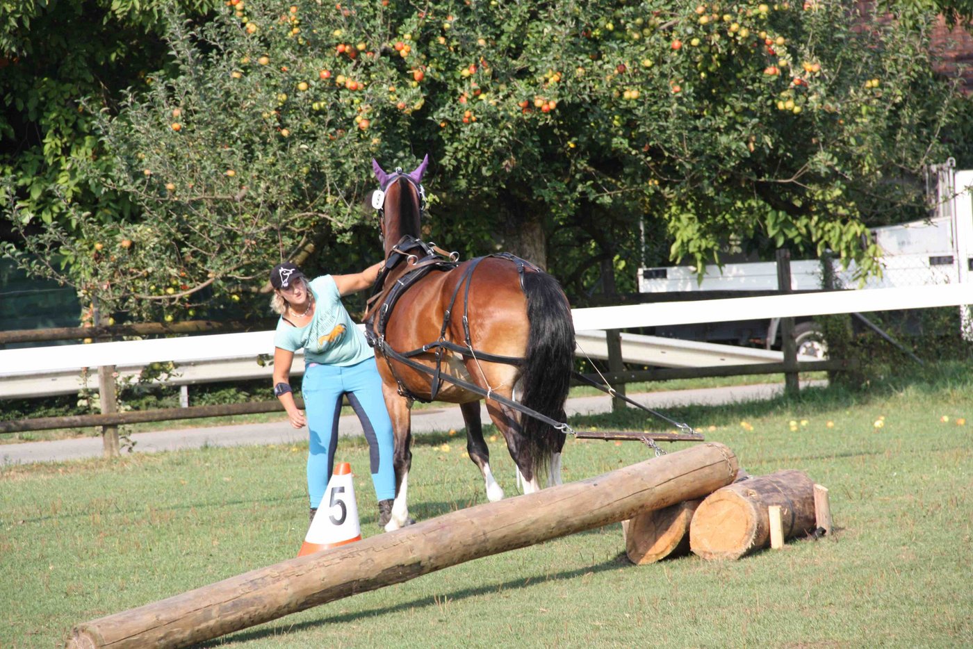 Konzentration und Augenmass sind beim Holzrücken gefordert. (Bild aw)