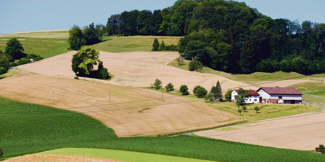 Auch bei landwirtschaftlichen Pachten kann eine Pachtrückgabe eines Tages eintreten.(Symbolbild BauZ)