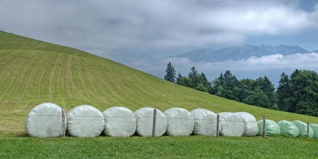 Mit dem Frühlingsanfang silieren die Bauern wieder. Die Folien landen grösstenteils in der Kehrichtverbrennungsanlage. (Bild Hermann Limacher/landwirtschaft.ch)