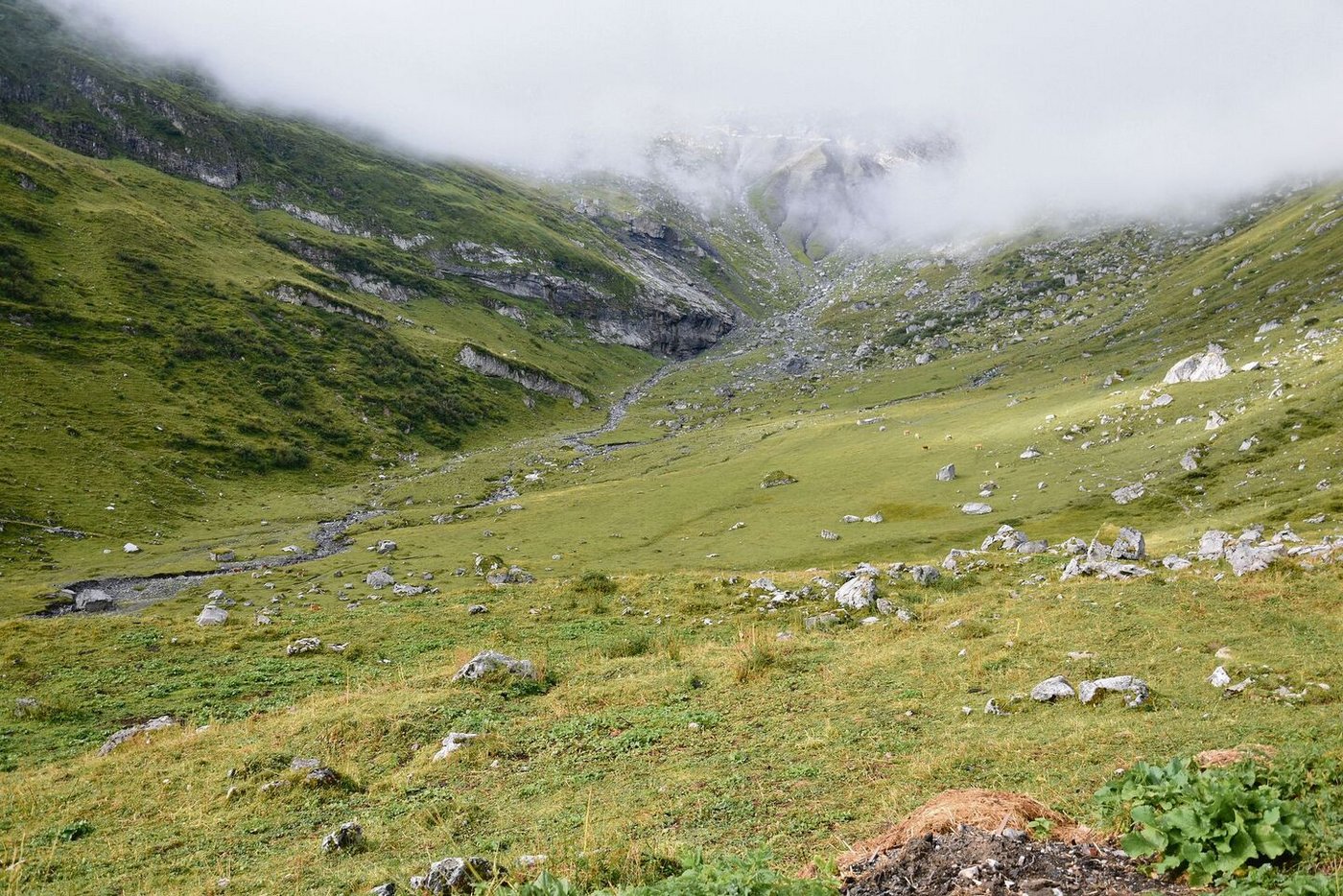 Das Ueschinental ist weitläufig mit steilen Hängen.