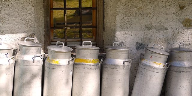 Die Thur Milch Ring AG hat seit Anfang Oktober ein Drittel weniger Produzenten. (Bild Pixabay)