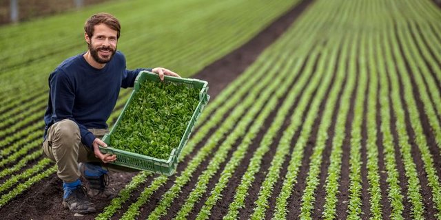 Samuel Müller vermarktet nicht nur sein eigenes Gemüse, sondern bietet eine Vielfalt an Produkten – der Wocheneinkauf soll bei Müllers möglich sein. (Bild pd)