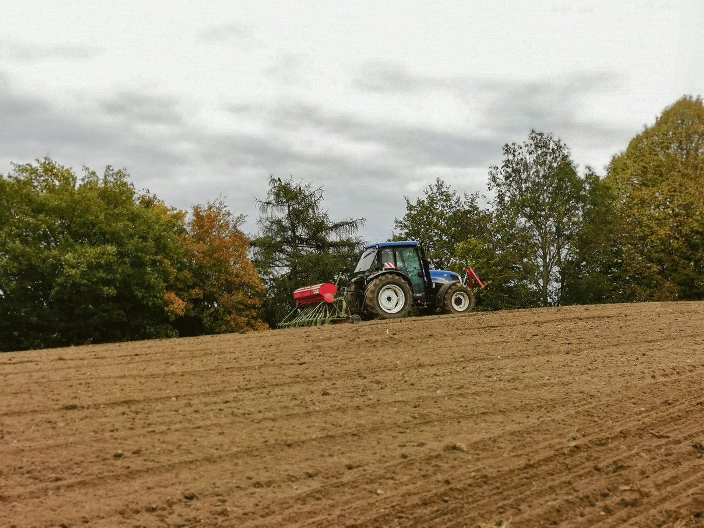 Die direktzahlungsrelevanten Massnahmen haben auf der Ackerfläche deutlich zugenommen.  Das hat Folgen für die bevorstehende Erhebung. (Bild sb)