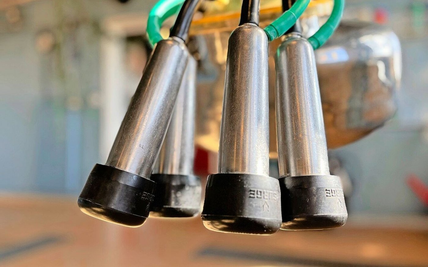 Wer heute noch melkt, will mit einer guten Ausrüstung arbeiten. Am Forum können alle Anbieter getestet werden. 