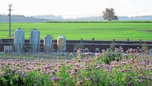 Verschiedene Organisationen sollen künftig Smartfarm nutzen können, jedoch jeweils nur auf gewisse «Silos» – also Daten – zugreifen können.