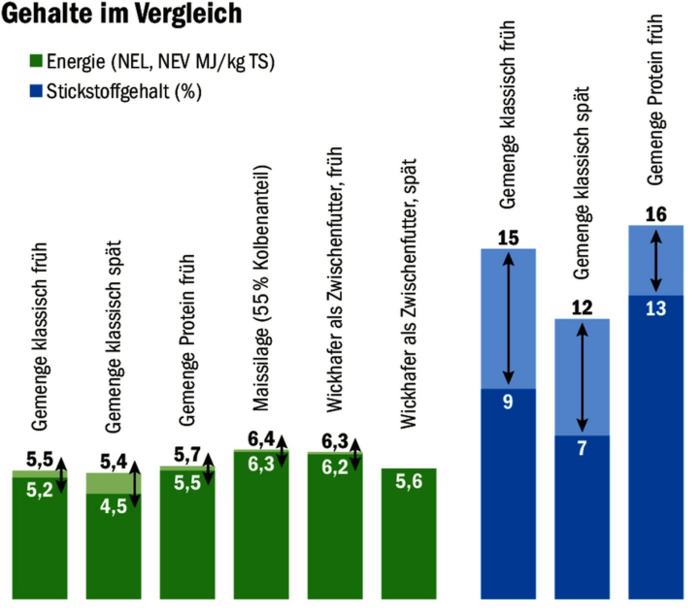 Mais ist eine zuverlässige Energiequelle. Wickhafer als Zwischenfutter kommt je nach Erntezeitpunkt auf vergleichbare Werte. Der Erntezeitpunkt von Gemengen aus Getreide und Leguminosen beeinflusst insbesondere auch deren Stickstoffgehalt (in Blau). Die Pfeile in der Grafik zeigen die Spannbreite der erwartbaren Werte. 