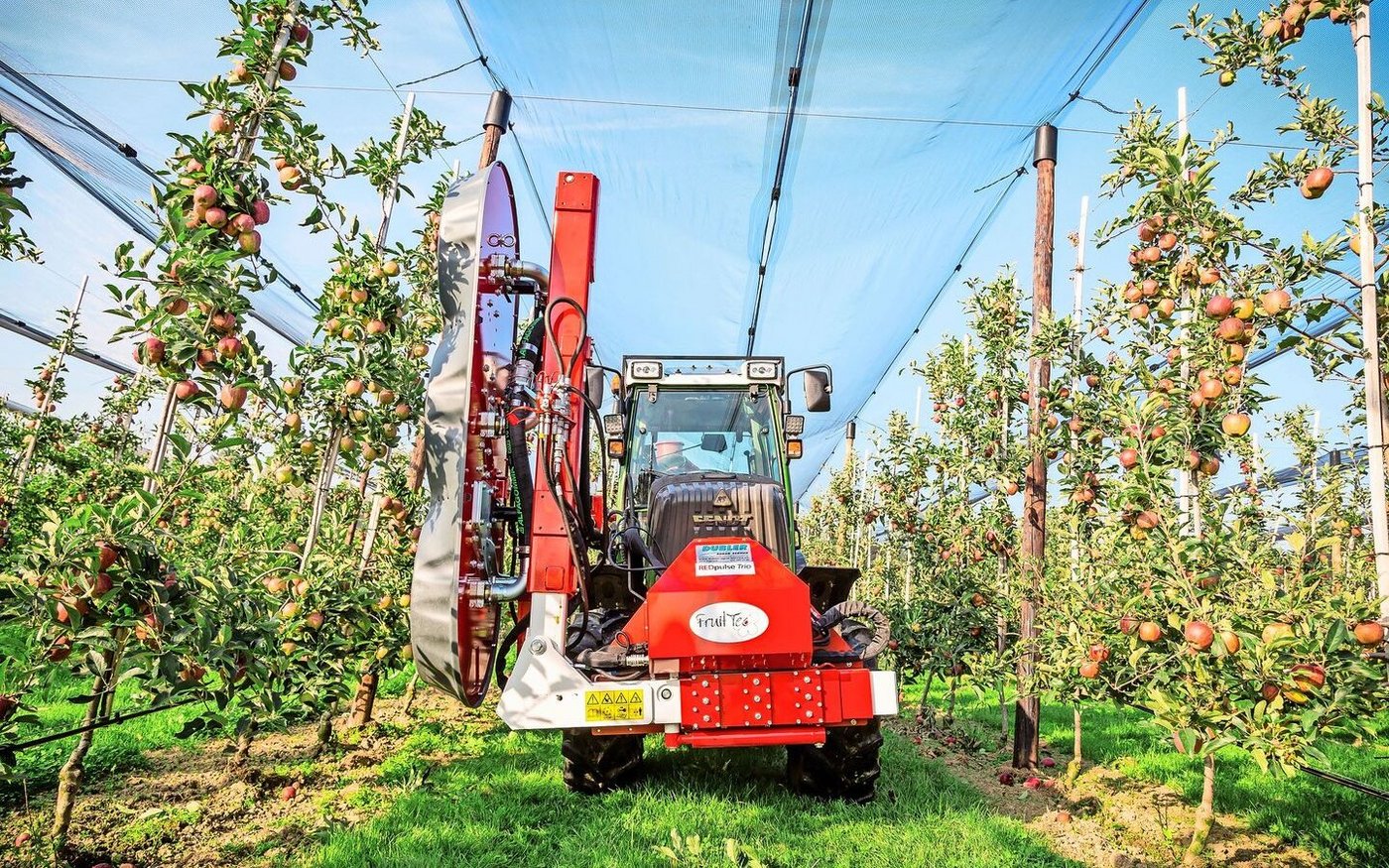 Der Entlauber sorgt dafür, dass auch im Inneren hängende Äpfel besser sichtbar werden. Auch eine bessere Qualität und der Anteil an Erstklasse-Äpfeln kann erhöht werden.    