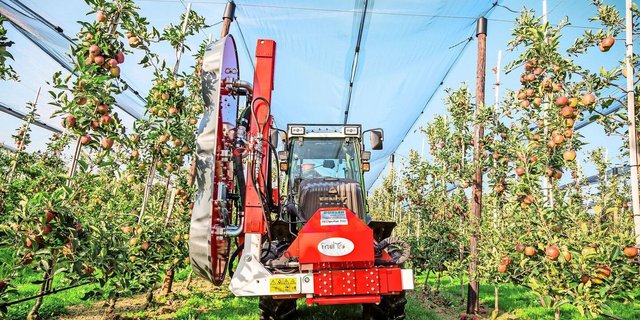 Der Entlauber sorgt dafür, dass auch im Inneren hängende Äpfel besser sichtbar werden. Auch eine bessere Qualität und der Anteil an Erstklasse-Äpfeln kann erhöht werden.    
