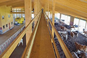 Nachhaltig produzieren im Kompoststall Vom 80 m langen Höhensteg aus lassen sich die Tiere gut beobachten. Der Kompost bietet den Tieren eine weiche Liegefläche. Auf der offenen Fläche können sie liegen, wo und wie sie wollen. (Bilder Michael Götz)
