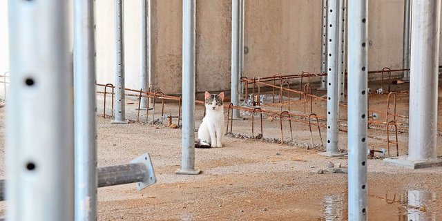 16 Bauprojekte im Luzerner Berggebiet wurden 2023 vom Solidaritätsfonds unterstützt. 