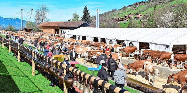 Es stimmte alles: ein schöner Schauplatz, eine hohe Qualität, eine gute Stimmung, viel Publikum und viel Wetterglück.