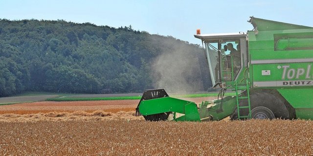 Wie auch im ÖLN-Versuchsnetz erzielt Pianalto im Extenso-Anbau mit 73,7 dt/ha den höchsten Ertrag, gefolgt von Spontan mit 69,6 dt/ha.