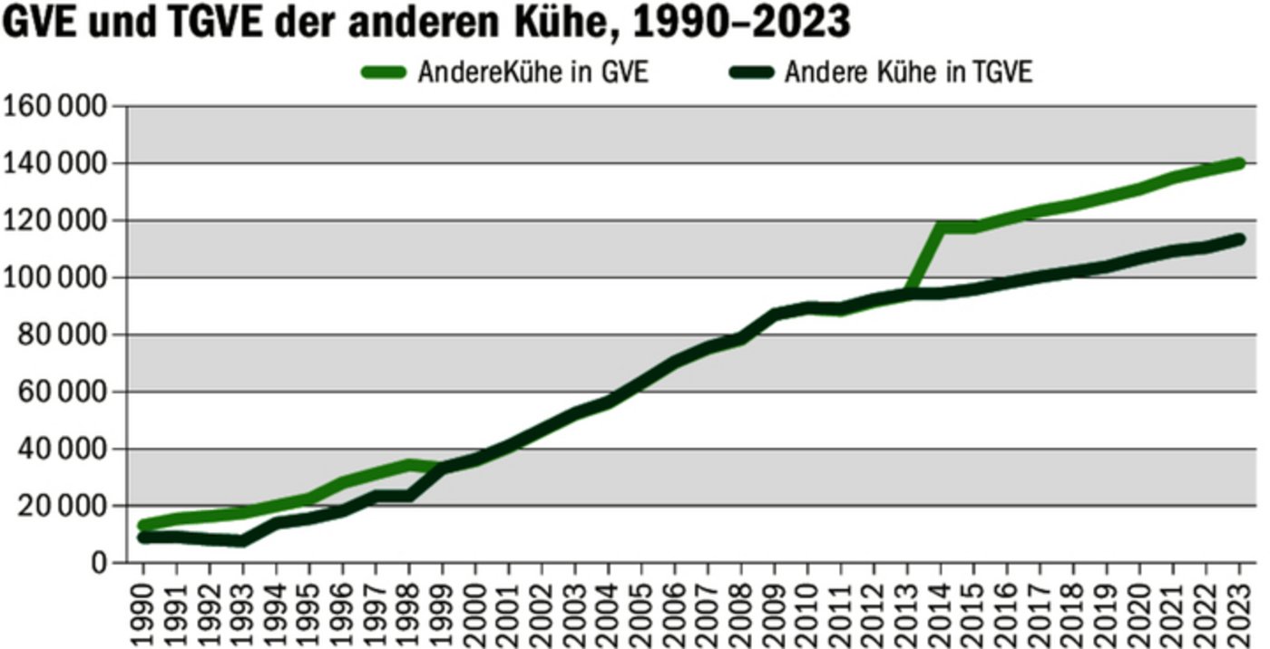 Mutterkühe galten bis 2013 0,8 GVE, später aus politischen Gründen ebenfalls 1 GVE. Die extensivere Haltung bedeutet weniger TGVE als GVE.
