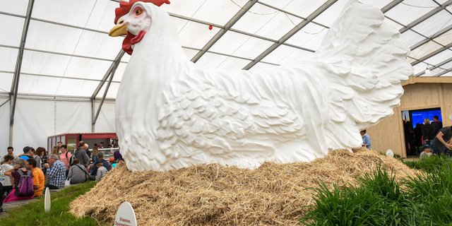 Ein Blickfang an der BEA-Sonderschau "Das Schweizer Ei ist das Grösste" war ein fast vier Meter hohes 3D-Huhn beim Eintritt ins Grüne Zentrum. (Bild zVg)