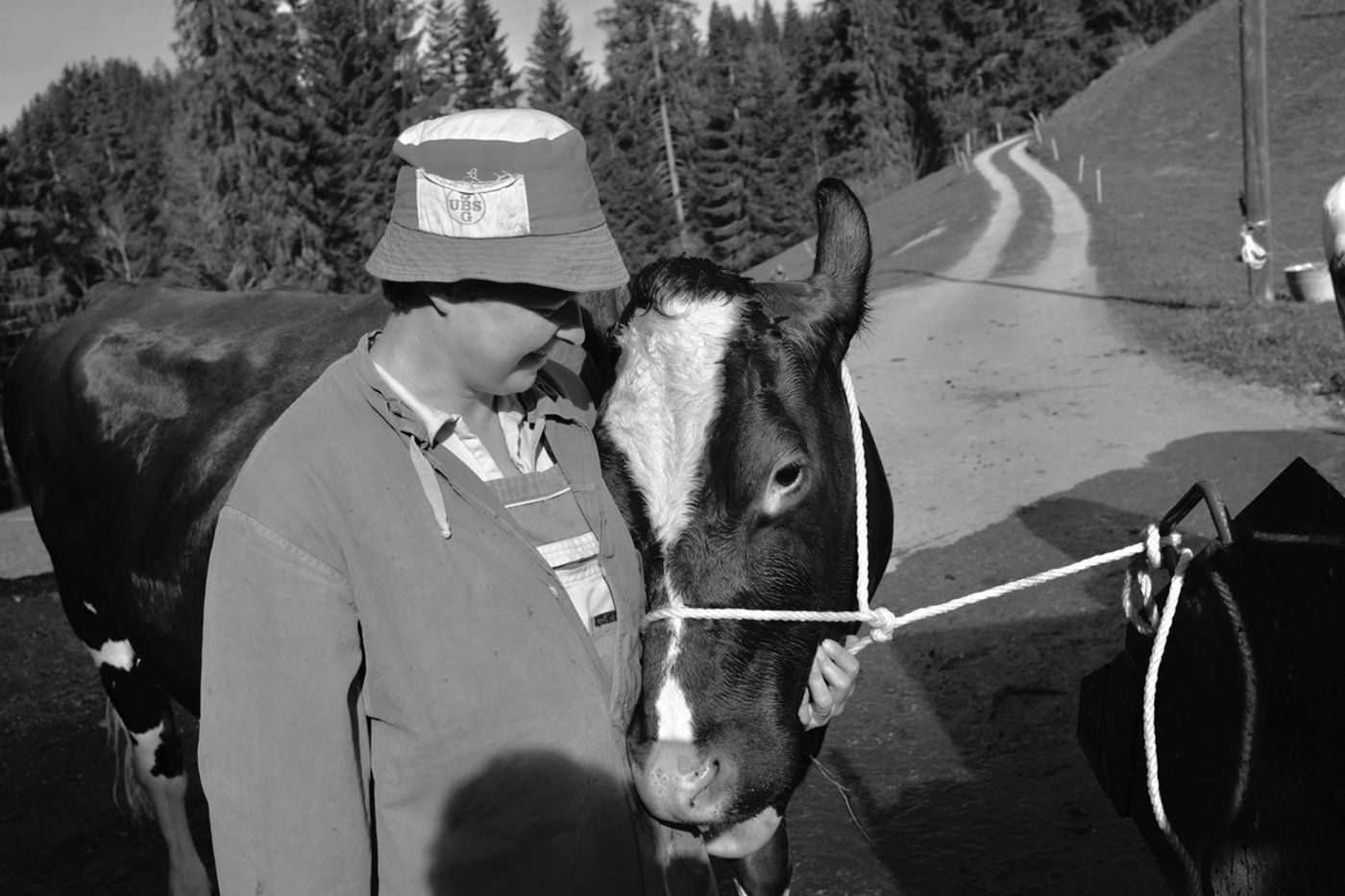 Müngge wurde erwachsen und alle ihre Träume wurden wahr. Heute ist sie Bäuerin und hat liebevolle Kühe wie die hier abgebildete Helvetia. (Bild Pinaki)
