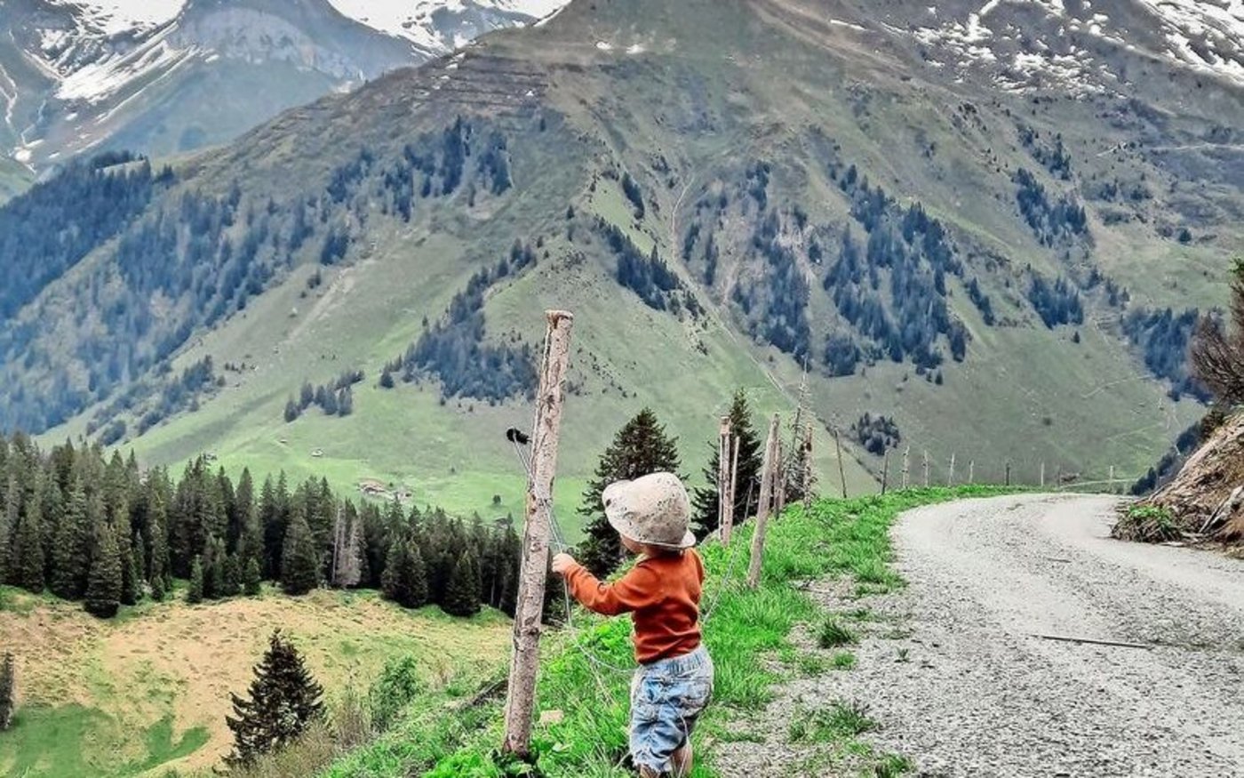 Keiner ist zu klein, um beim Zäunen zu helfen: Cyrill ist mit Begeisterung und Konzentration bei der Sache. 