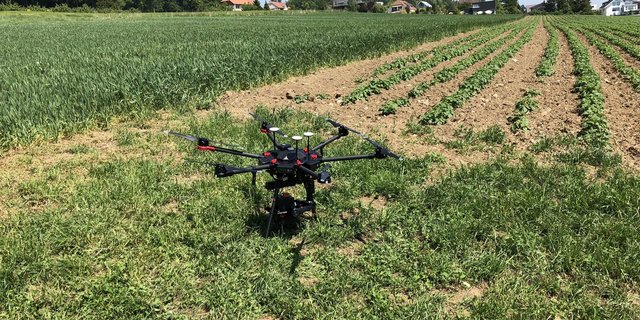 Der Potatohealth Viewer soll Krankheiten bei Saatkartoffeln erkennen. (David Aebi/Agrarpiloten)