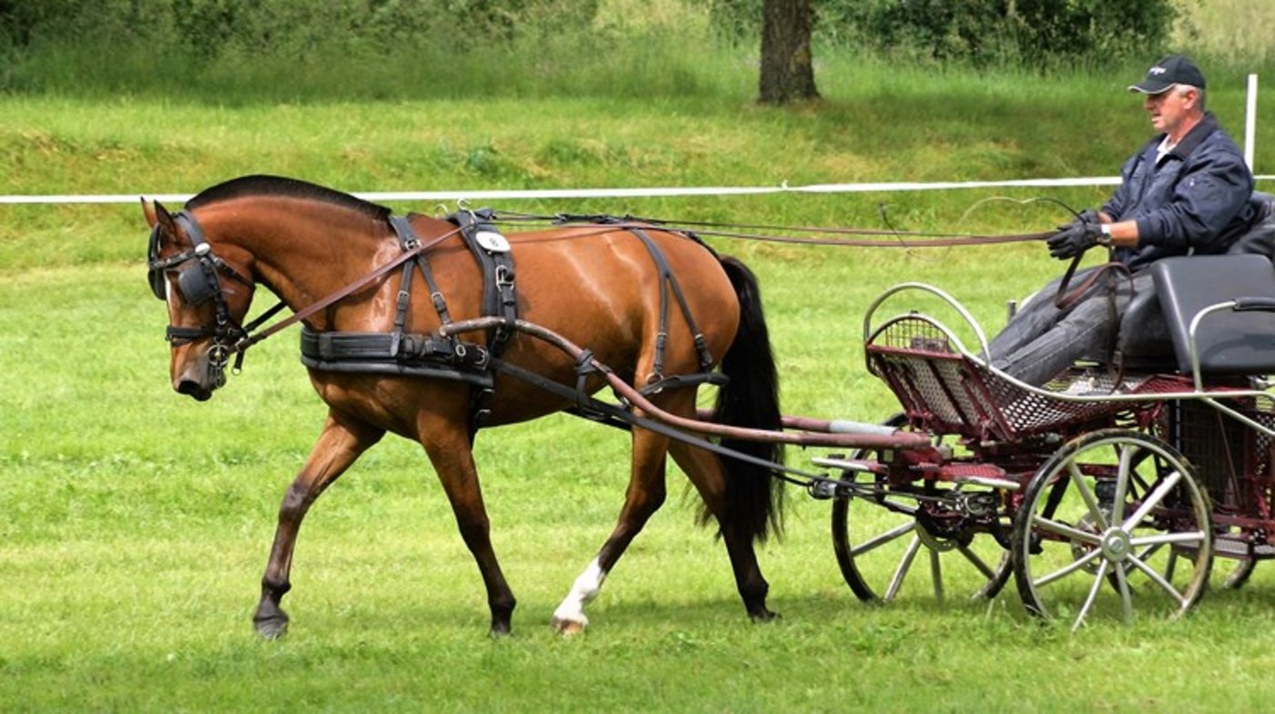 Feldtest können nach wie vor nicht stattfinden. (Bild Ruth Aerni)