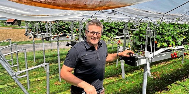 Patrick Stadler ist Betriebsleiter des Versuchsbetriebs in Güttingen. Er steht vor den Erdbeerstellagen, die mit Einzelreihenabdeckungen vor der Witterung geschützt sind.