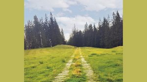Landwirte wehren sich: Weder «Ausbau» noch «Erweiterung» auf Alp im Entlebuch Stein des Anstosses: Holz anstatt Schotter. (Bild hr)