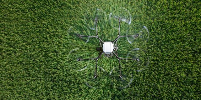 Chlorothalonil ist ein Fungizid, das in der Schweizer Landwirtschaft seit rund 50 Jahren vor allem in Getreide, Gemüse und Reben zum Einsatz kommt. (Symbolbild Pixabay)