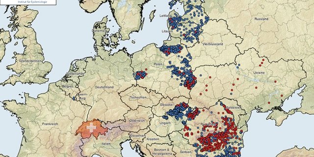 Auf dem Vormarsch von Ost nach West: Die roten Punkte stellen die ASP-Nachweise beim Hausschwein dar, die blauen diejenigen in der Wildschweinepopulation. (Grafik Friederich-Löffler-Institut/BauZ)