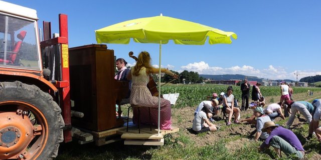 Jäten und doch kein Konzert verpassen. Bei Sonnenschein könnte der Kultursommer der Solidarischen Landwirtschaftsinitiative Radiesli in Worb so aussehen. (Bild zVg)
