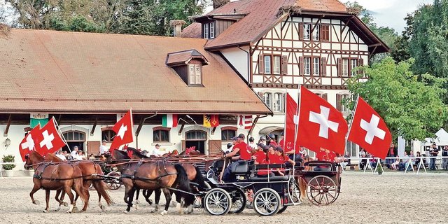 Die Pferdezuchtgenossenschaft Falkenstein hievt die Fahnen für die Freibergerpferde.