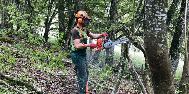Neue Vorschriften sollen für mehr Sicherheit bei Forstarbeiten sorgen. Dabei gilt wie so oft: Keine Regel ohne Ausnahme. Denn die Umsetzung geschieht kantonal unterschiedlich.   