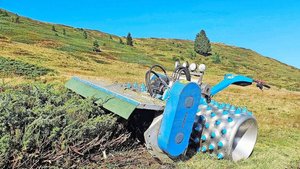 Mulchen wäre effizie Mulchen wäre effizient – wird aber gerade in naturschützerisch wertvollen Gebieten oft nicht bewilligt