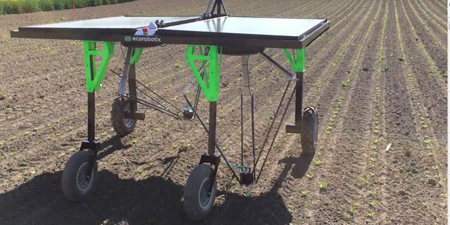 Unter anderem wird der Spritzroboter Ecorobotix demonstriert. (Bild zVg)