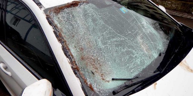 Personen kamen bei dem Unfall keine zu Schaden. (Bild Kantonspolizei Thurgau)