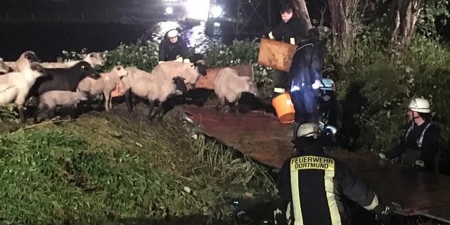 Es war auch die Spezialeinheit Wasserrettung beteiligt. (Bild Feuerwehr Dortmund)