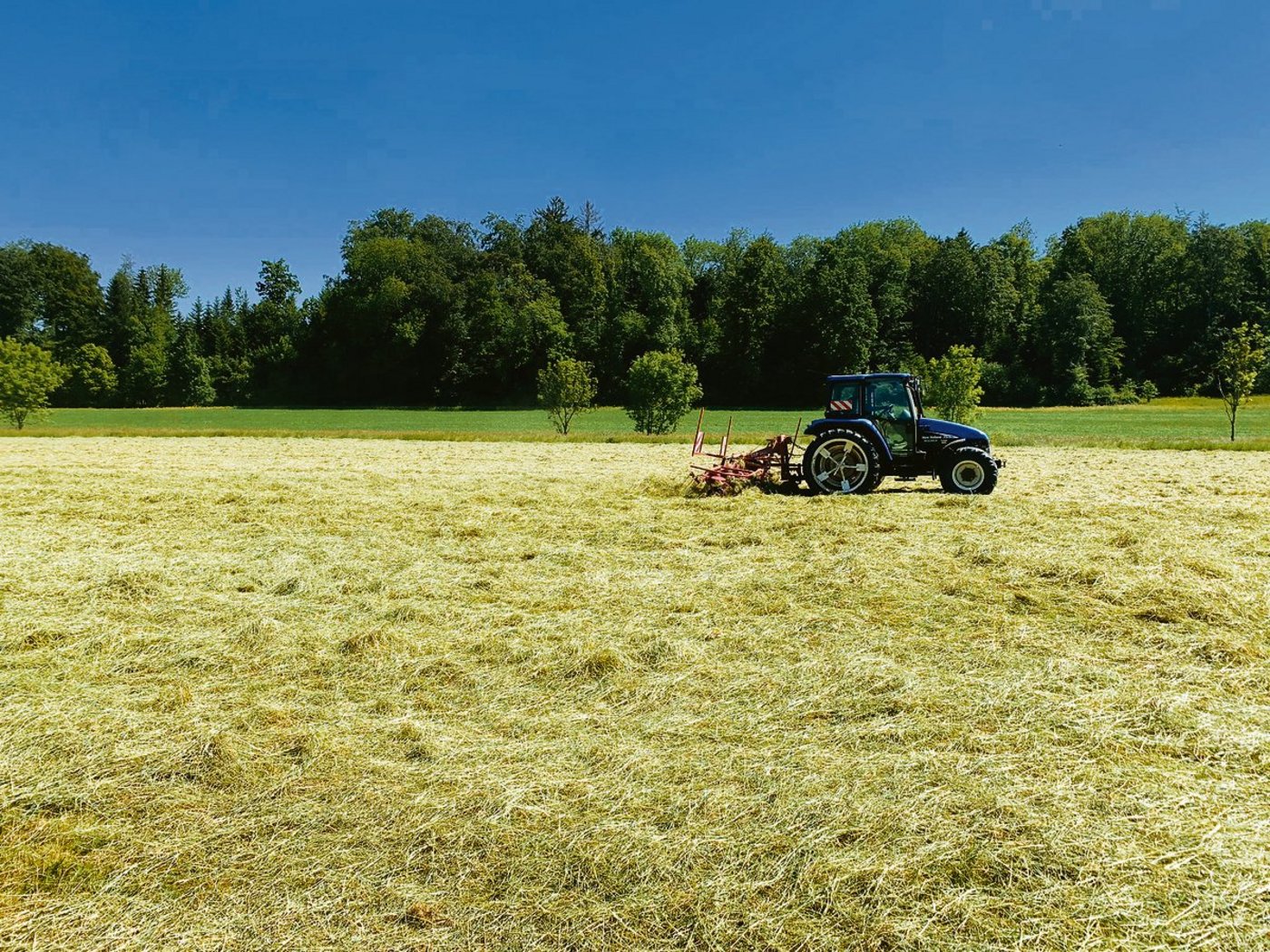 Die Futterqualität sei laut den Bauern gut, trotzdem darf man die Gefahr auf dem Heustock nicht unterschätzen. Es gilt, die Heubelüftung genügend lange laufen zu lassen.(Bild Flurina Monn)