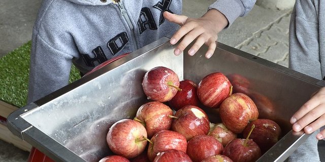 Selber mosten ist nur etwas von all den Dingen, die Schüler auf einem Bauernhof erleben und erfahren können. (Bild SchuB)
