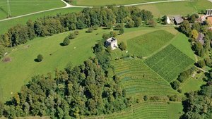 Im Unteren Tösstal prägen Reben, Wiesen, Weiden und Ackerflächen das Landschaftsbild. Das soll erhalten werden, aber nicht mit noch grösseren Auflagen. 